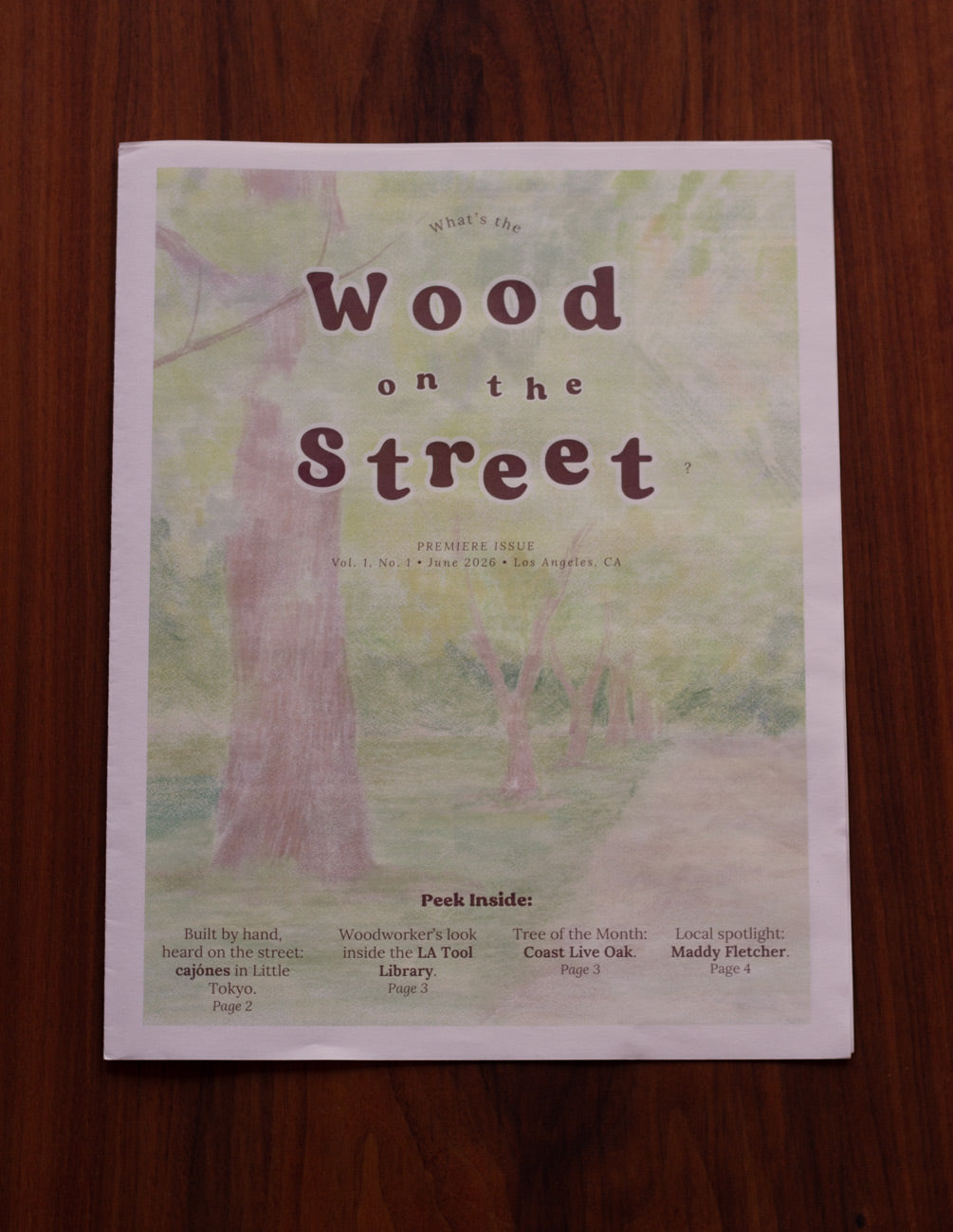 June 2026 Issue (Vol. 1 No. 1) Print Version