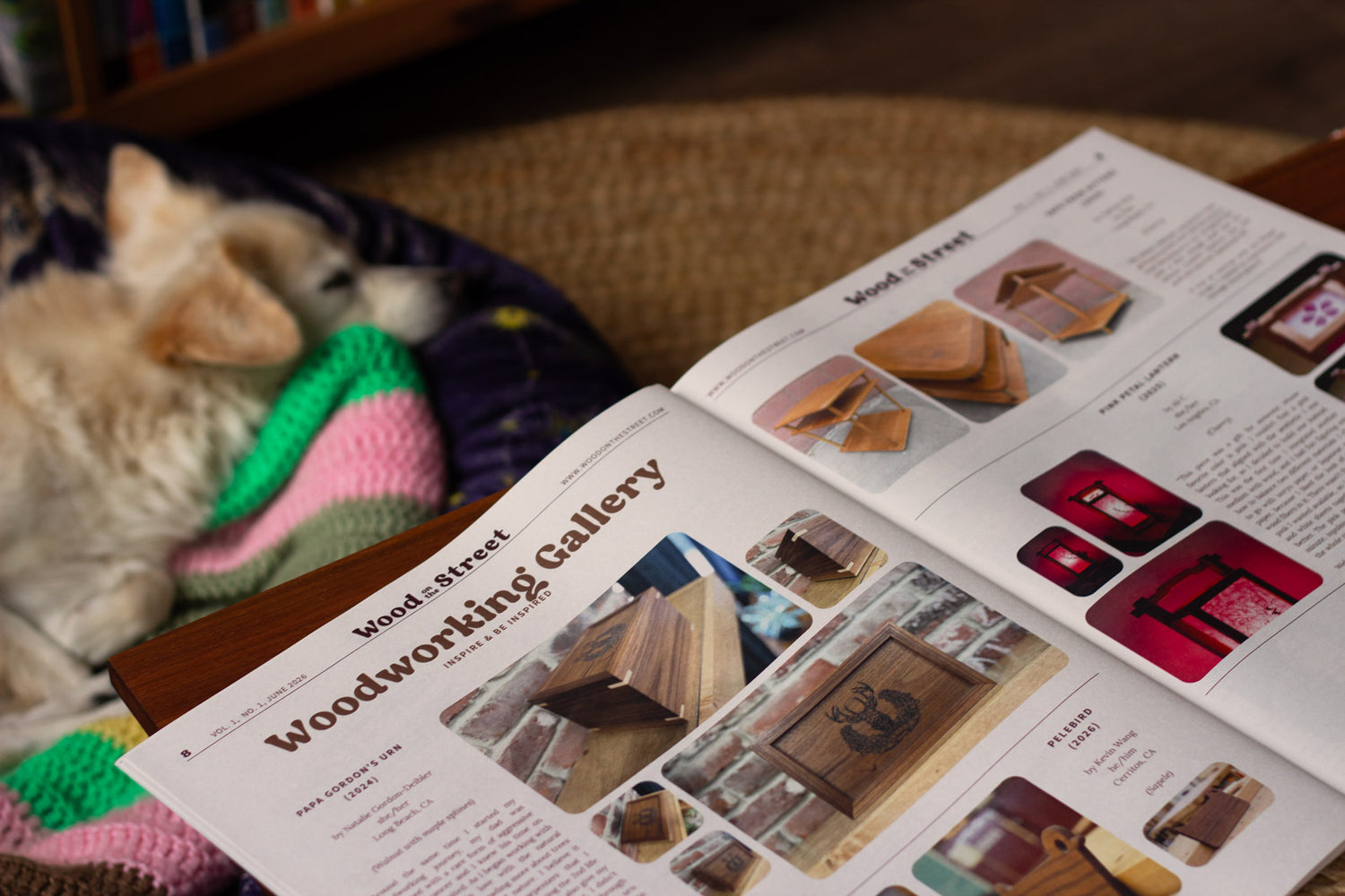 Open newspaper spread on woodworking with images of wooden items, sleeping dog in the background