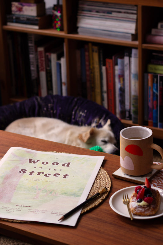 Dog lying down next to a table with a newspaper, mug, plate of food, and bookshelf in the background.