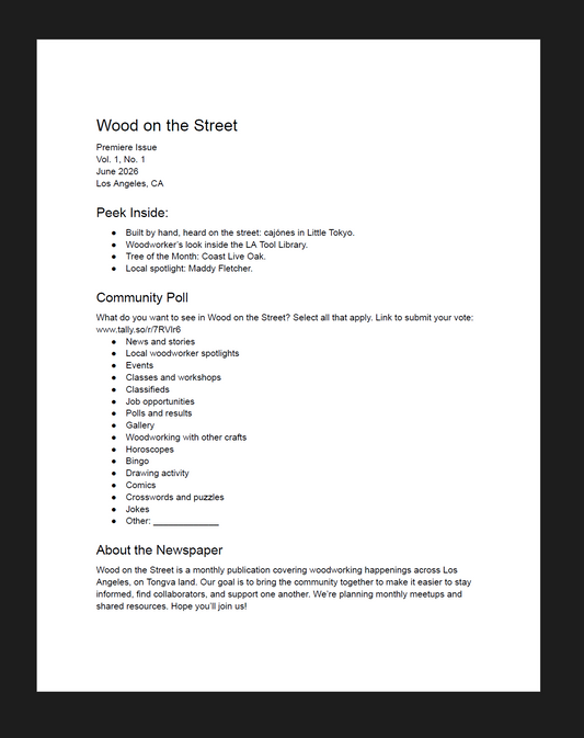 Monthly Newspaper Subscription (Digital Text-Only)